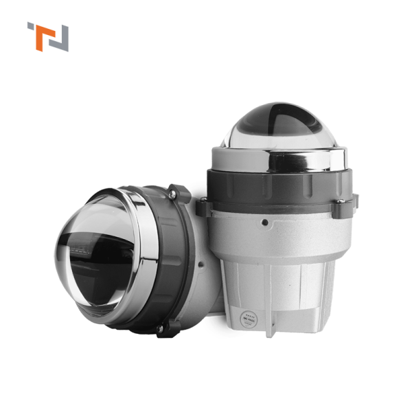 bi gầm aozoom Wasp